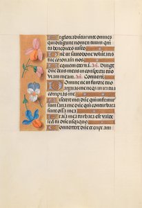 Dronning Isabella den katolske, dronning af Spaniens åbningstider: Fol. 228v, ca. 1500. af Master of the First Prayerbook of Maximillian