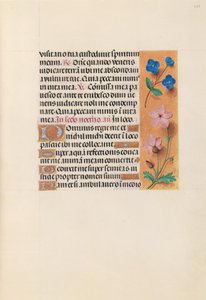 Dronning Isabella den Katolskes timer, dronning af Spanien:  Fol. 233r af Master of the First Prayerbook of Maximillian