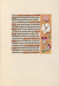 Dronning Isabella den katolske, dronning af Spaniens åbningstider: Fol. 235r, ca. 1500. af Master of the First Prayerbook of Maximillian