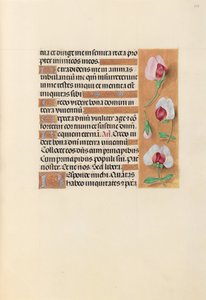 Hours of Dronning Isabella den Katolik, Dronning af Spanien: Fol. 237r, ca. 1500. af Master of the First Prayerbook of Maximillian