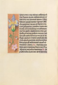 Hours of Dronning Isabella den Katolik, Dronning af Spanien: Fol. 237v, ca. 1500. af Master of the First Prayerbook of Maximillian