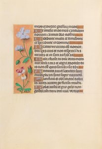 Hours of Dronning Isabella den Katolik, Dronning af Spanien: Fol. 239v, ca. 1500. af Master of the First Prayerbook of Maximillian