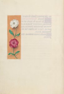 Hours of Dronning Isabella den Katolik, Dronning af Spanien: Fol. 23v, c. 1500. af Master of the First Prayerbook of Maximillian