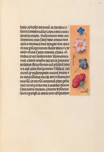 Hours of Dronning Isabella den Katolik, Dronning af Spanien: Fol. 245r, ca. 1500. af Master of the First Prayerbook of Maximillian