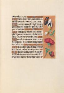 Dronning Isabella den Katolskes timer, dronning af Spanien:  Fol. 249r af Master of the First Prayerbook of Maximillian