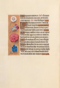 Hours of Dronning Isabella den Katolik, Dronning af Spanien: Fol. 249v, ca. 1500. af Master of the First Prayerbook of Maximillian