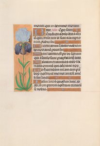 Hours of Dronning Isabella den Katolik, Dronning af Spanien: Fol. 254v, ca. 1500. af Master of the First Prayerbook of Maximillian
