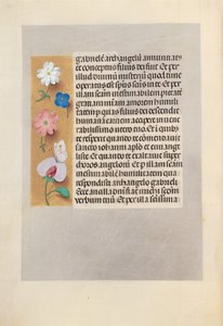 Dronning Isabella den katolske, dronning af Spaniens åbningstider: Fol. 258v, ca. 1500. af Master of the First Prayerbook of Maximillian