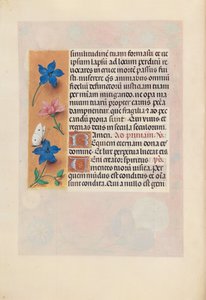 Hours of Dronning Isabella den Katolik, Dronning af Spanien: Fol. 25v, ca. 1500. af Master of the First Prayerbook of Maximillian