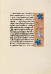 Dronning Isabella den katolske, dronning af Spaniens åbningstider: Fol. 260r, ca. 1500. af Master of the First Prayerbook of Maximillian