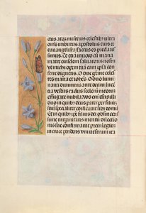 Hours of Dronning Isabella den Katolik, Dronning af Spanien: Fol. 262v, ca. 1500. af Master of the First Prayerbook of Maximillian