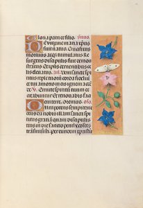Hours of Dronning Isabella den Katolik, Dronning af Spanien: Fol. 33r, c. 1500. af Master of the First Prayerbook of Maximillian