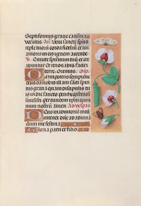 Hours of Dronning Isabella den Katolik, Dronning af Spanien: Fol. 35r, ca. 1500. af Master of the First Prayerbook of Maximillian