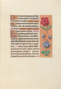 Hours of Dronning Isabella den Katolik, Dronning af Spanien: Fol. 36r, ca. 1500. af Master of the First Prayerbook of Maximillian
