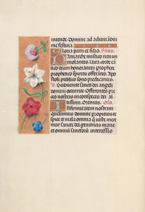 Hours of Dronning Isabella den Katolik, Dronning af Spanien: Fol. 39v, ca. 1500. af Master of the First Prayerbook of Maximillian