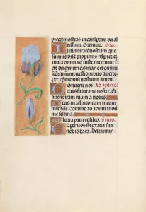 Dronning Isabella den katolske, dronning af Spaniens åbningstider: Fol. 41v, c. 1500. af Master of the First Prayerbook of Maximillian