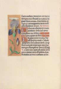 Hours of Dronning Isabella den Katolik, Dronning af Spanien: Fol. 45v, ca. 1500. af Master of the First Prayerbook of Maximillian