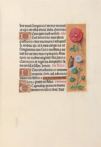 Dronning Isabella den katolske, dronning af Spaniens åbningstider: Fol. 46r, ca. 1500. af Master of the First Prayerbook of Maximillian
