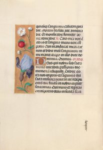 Hours of Dronning Isabella den Katolik, Dronning af Spanien: Fol. 46v, ca. 1500. af Master of the First Prayerbook of Maximillian