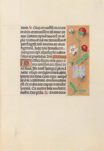 Hours of Dronning Isabella den Katolik, Dronning af Spanien: Fol. 55r, ca. 1500. af Master of the First Prayerbook of Maximillian