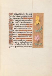 Hours of Dronning Isabella den Katolik, Dronning af Spanien: Fol. 56r, ca. 1500. af Master of the First Prayerbook of Maximillian