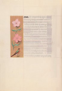 Dronning Isabella den Katolskes timer, dronning af Spanien:  Fol. 56v af Master of the First Prayerbook of Maximillian