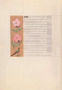 Hours of Dronning Isabella den Katolik, Dronning af Spanien: Fol. 56v, ca. 1500. af Master of the First Prayerbook of Maximillian
