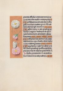 Hours of Dronning Isabella den Katolik, Dronning af Spanien: Fol. 58v, ca. 1500. af Master of the First Prayerbook of Maximillian