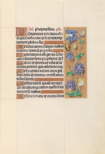 Hours of Dronning Isabella den Katolik, Dronning af Spanien: Fol. 59r, ca. 1500. af Master of the First Prayerbook of Maximillian