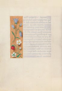 Hours of Dronning Isabella den Katolik, Dronning af Spanien: Fol. 60v, ca. 1500. af Master of the First Prayerbook of Maximillian