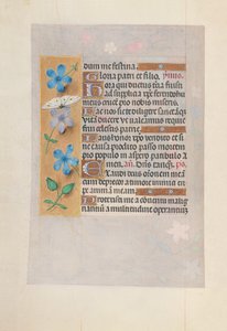 Hours of Dronning Isabella den Katolik, Dronning af Spanien: Fol. 63v, c. 1500. af Master of the First Prayerbook of Maximillian