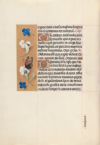 Dronning Isabella den Katolskes timer, dronning af Spanien:  Fol. 67v af Master of the First Prayerbook of Maximillian