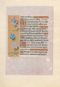 Hours of Dronning Isabella den Katolik, Dronning af Spanien: Fol. 69v, ca. 1500. af Master of the First Prayerbook of Maximillian