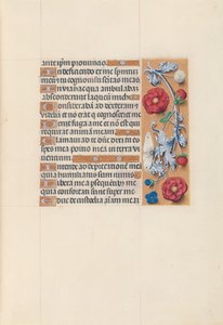 Hours of Dronning Isabella den Katolik, Dronning af Spanien: Fol. 70r, ca. 1500. af Master of the First Prayerbook of Maximillian