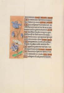 Hours of Dronning Isabella den Katolik, Dronning af Spanien: Fol. 75v, ca. 1500.