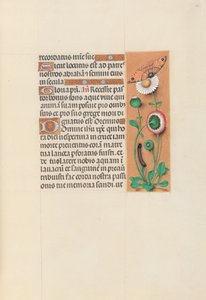 Hours of Dronning Isabella den Katolik, Dronning af Spanien: Fol. 76r, ca. 1500. af Master of the First Prayerbook of Maximillian