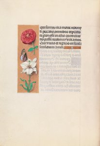 Hours of Dronning Isabella den Katolik, Dronning af Spanien: Fol. 76v, ca. 1500. af Master of the First Prayerbook of Maximillian