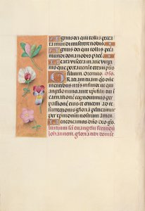 Hours of Dronning Isabella den Katolik, Dronning af Spanien: Fol. 92v, c. 1500. af Master of the First Prayerbook of Maximillian