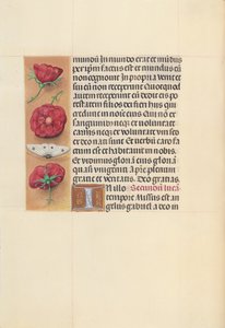 Hours of Dronning Isabella den Katolik, Dronning af Spanien: Fol. 93v, c. 1500. af Master of the First Prayerbook of Maximillian