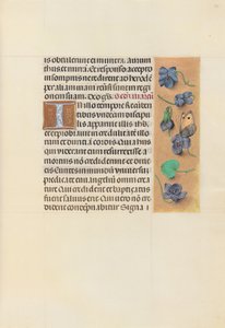 Dronning Isabella den katolske, dronning af Spaniens åbningstider: Fol. 96r, ca. 1500. af Master of the First Prayerbook of Maximillian