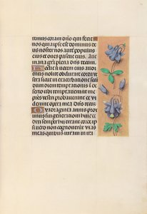 Hours of Dronning Isabella den Katolik, Dronning af Spanien: Fol. 99r, c. 1500. af Master of the First Prayerbook of Maximillian