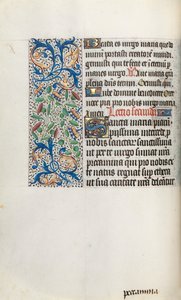 Timebog Brug af Rouen: fol. 35v, c. 1470. af Master of the Geneva Latini