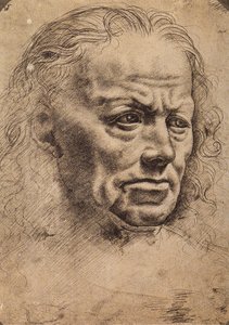 Hovedet på en mand af Master of the Pala Sforzesca