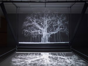 Albion, 2017 (Projektor, medieafspiller, stillads, transparent film, træ, maling, spejl, tilbehør til udspænding) af Mat Collishaw