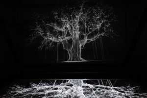 Albion, 2017 (Projektor, medieafspiller, stillads, transparent film, træ, maling, spejl, tilbehør til udspænding) af Mat Collishaw