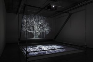 Albion, 2017 (Projektor, medieafspiller, stillads, transparent film, træ, maling, spejl, tilbehør til udspænding) af Mat Collishaw