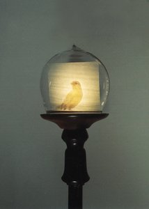 Antik af Mat Collishaw