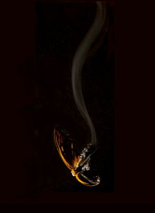 Brændende sommerfugl 15, 2013 (Lambda print)