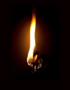 Brændende sommerfugl 23, 2013 (Lambda print) af Mat Collishaw