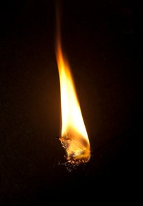 Burning Butterfly 3, 2013 (Lambda print)